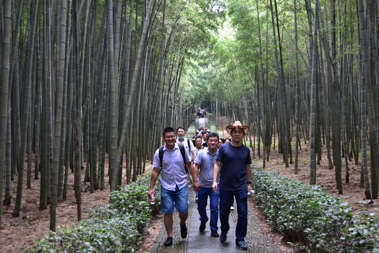 2020��7����Ч�F(tu��n)��(�D3)