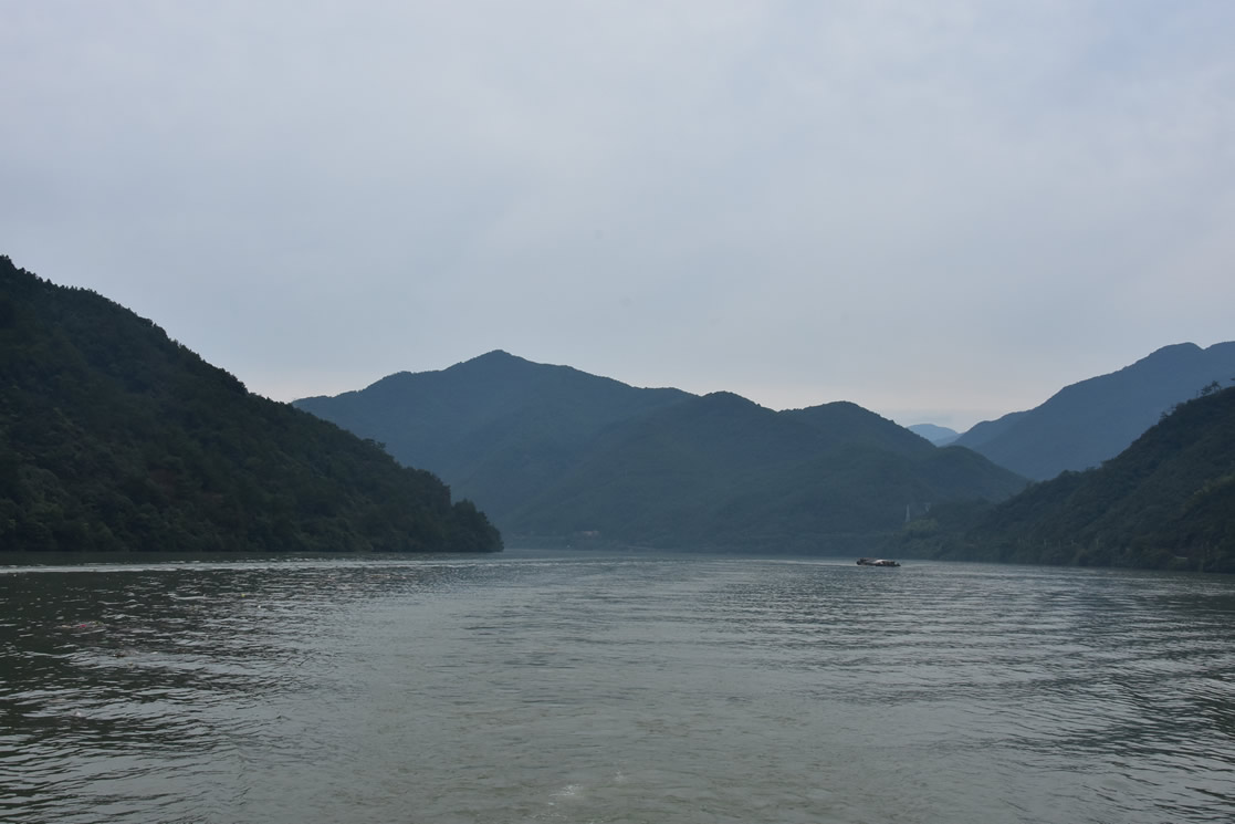 2020��7����Ч�F(tu��n)��(�D6)